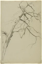Studie van boomtakken, Fishkill Landing, New York, 1860